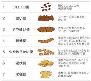 図　Bristol便形状スケール